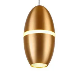 50311P Led Hanging Light