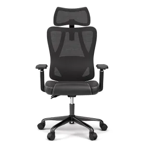 Ergonomic Camping Chairs
