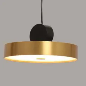 C1315 Led Hanging Light