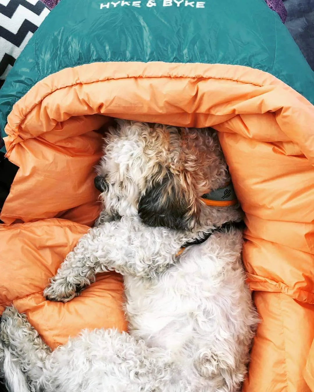 Eolus -17°C Ultralight 800FP Goose Down Sleeping Bag