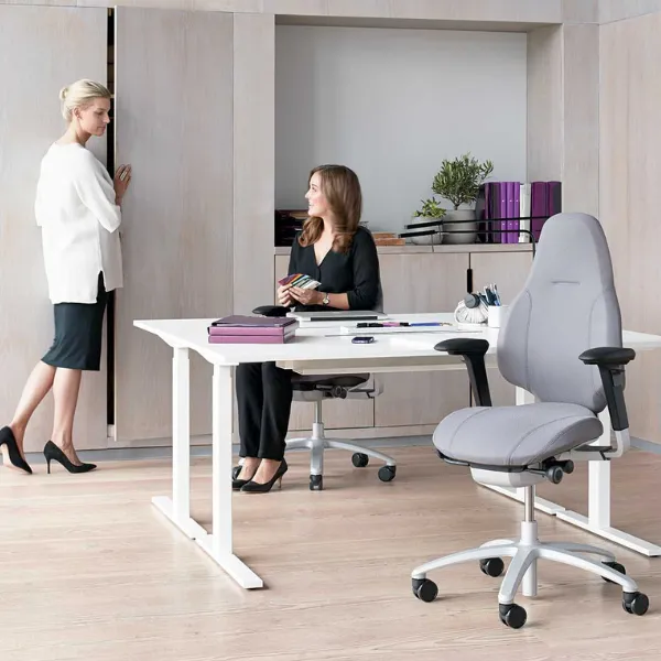RH Mereo 220 Chair