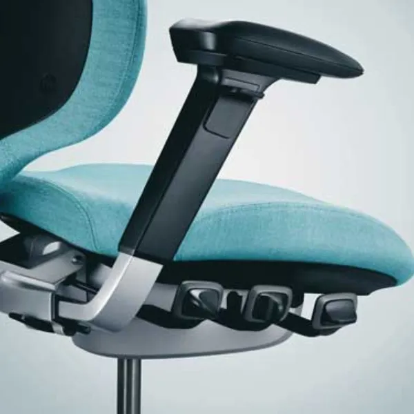 RH Mereo 220 Chair